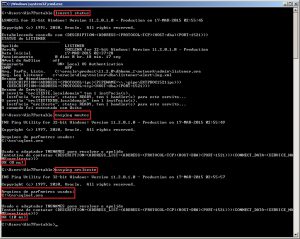 Instalando o Oracle Database 11g R2 no Windows - Dirceu Resende